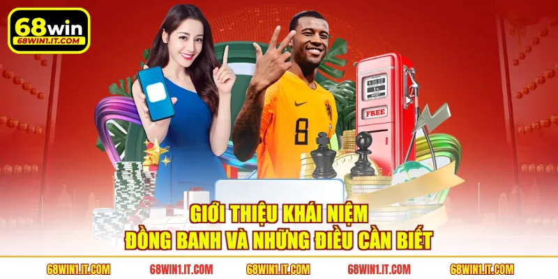 Giới thiệu khái niệm đồng banh và những điều cần biết