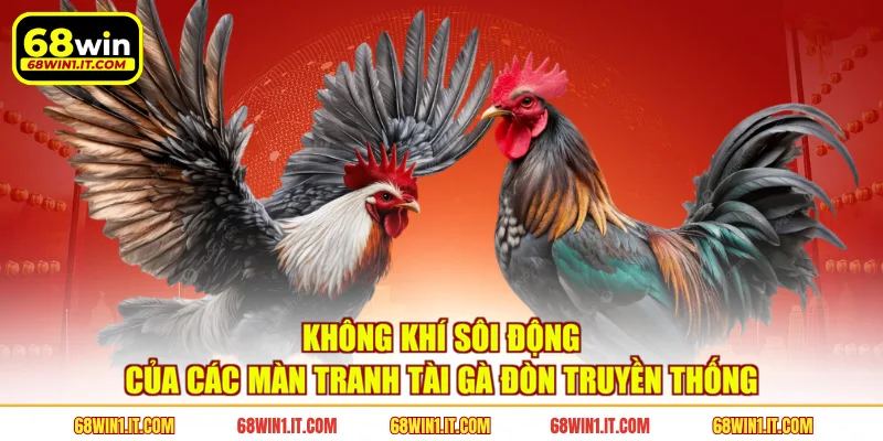 Không khí sôi động của các màn tranh tài gà đòn truyền thống 